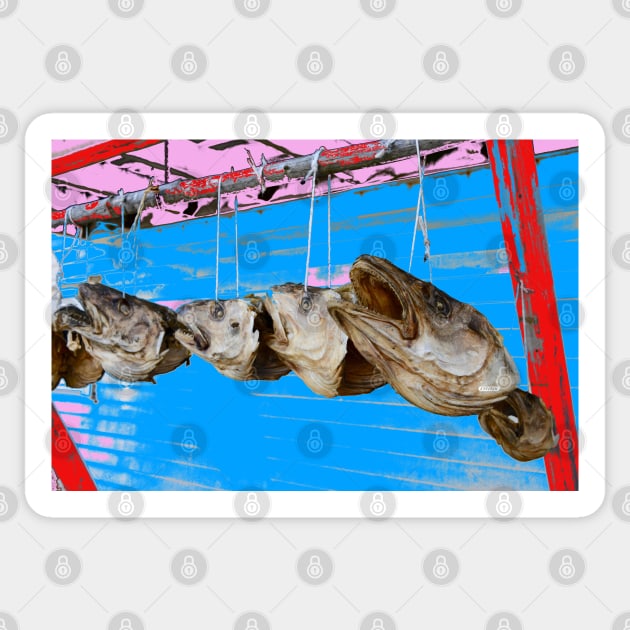 Fish heads Sticker by Wolf Art / Swiss Artwork Photography